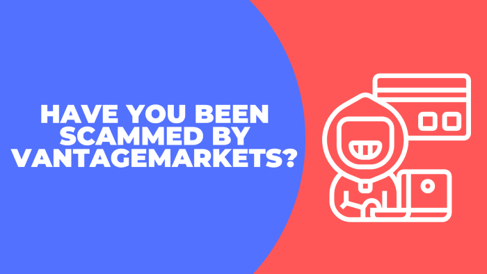 have you been scammed by vfzeoly read this review